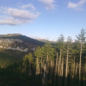 img_320207_43254.jpg