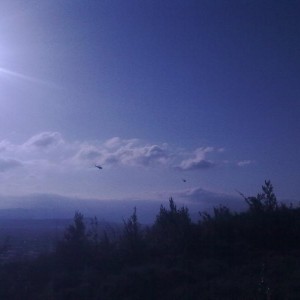 img_320218_43254.jpg