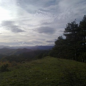 img_320224_43254.jpg