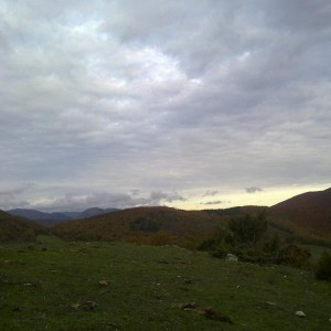 img_320226_43254.jpg
