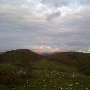 img_320227_43254.jpg