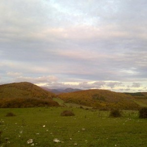 img_320229_43254.jpg