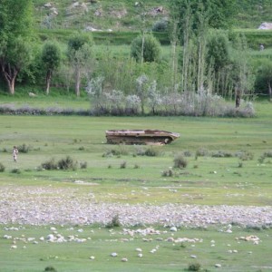 img_320450_43254.jpg
