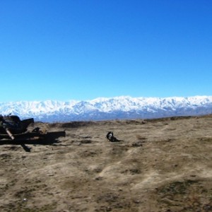 img_320457_43254.jpg