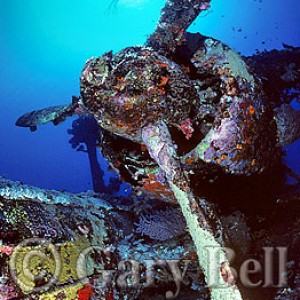 img_320503_43254.jpg