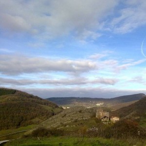 img_320893_43254.jpg