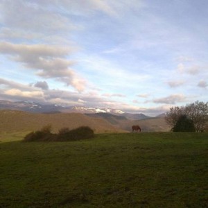 img_320898_43254.jpg