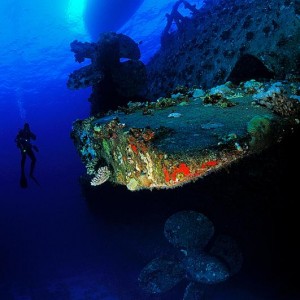 img_325269_43254.jpg