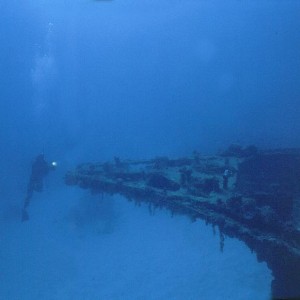 img_325682_43254.jpg