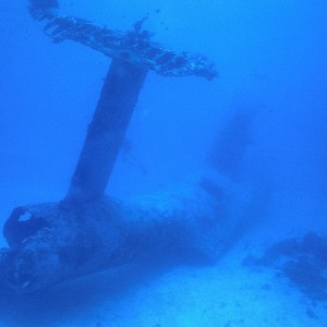 img_325686_43254.jpg