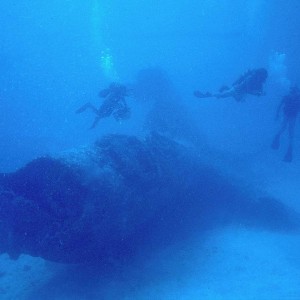 img_325687_43254.jpg