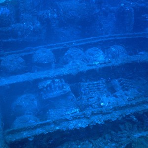 img_325696_43254.jpg