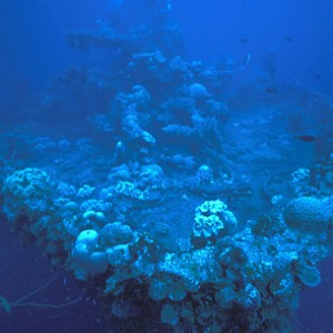 img_325700_43254.jpg
