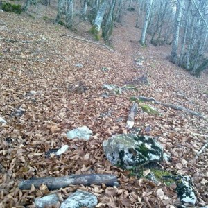 img_325703_43254.jpg