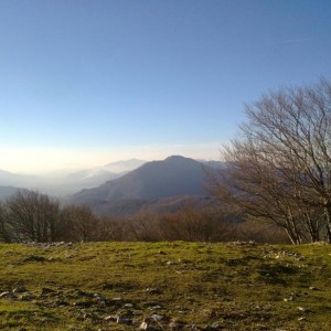 img_325709_43254.jpg