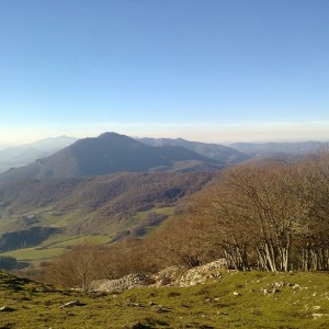 img_325710_43254.jpg