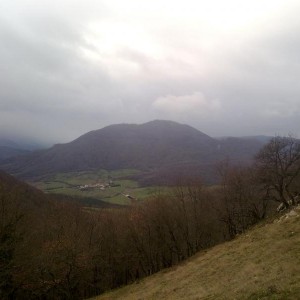 img_325713_43254.jpg