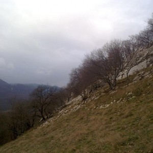 img_325714_43254.jpg