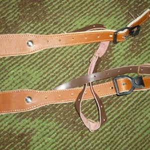 img_326368_21381.jpg