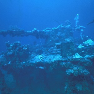 img_326479_43254.jpg