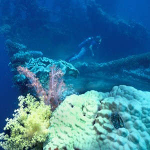img_326481_43254.jpg