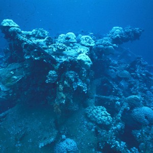 img_326489_43254.jpg