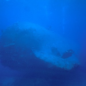 img_326492_43254.jpg