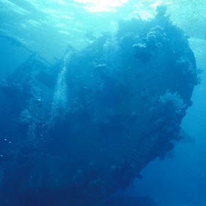 img_326493_43254.jpg