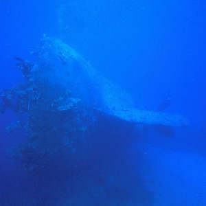 img_326495_43254.jpg