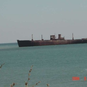 img_326509_43254.jpg