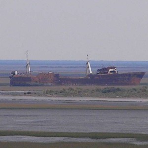 img_326522_43254.jpg