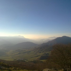 img_326549_43254.jpg