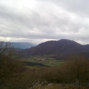 img_326558_43254.jpg