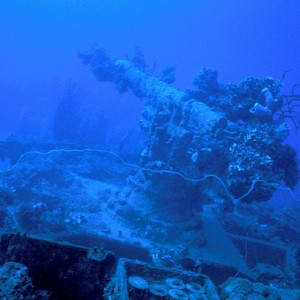 img_327089_43254.jpg