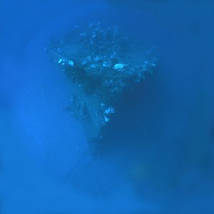 img_327094_43254.jpg