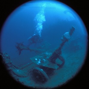 img_327095_43254.jpg