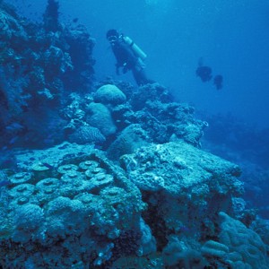 img_327107_43254.jpg