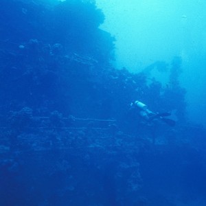 img_327109_43254.jpg