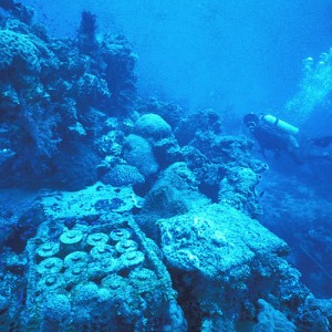 img_327110_43254.jpg