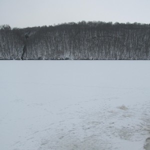 img_327273_44417.jpg
