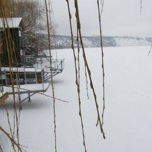 img_327274_44417.jpg
