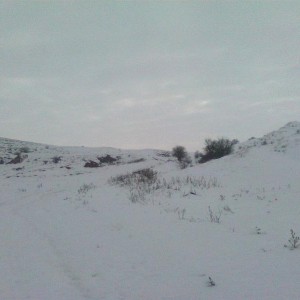 img_327836_40734.jpg