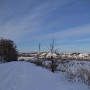 img_330759_64752.jpg