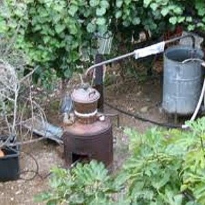 img_331977_43311.jpg
