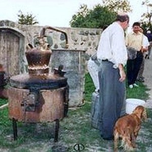 img_331989_43311.jpg
