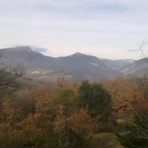 img_332286_43254.jpg
