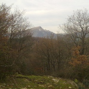 img_332291_43254.jpg