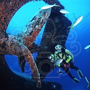 img_332685_43254.jpg