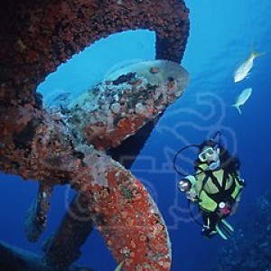 img_332686_43254.jpg