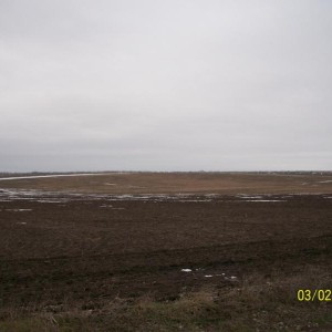 img_333352_18241.jpg